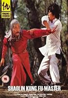 Shaolin Kung Fu Master