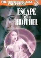Escape From Brothel
