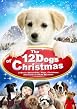 The 12 Dogs Of Christmas