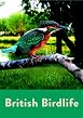 British Birdlife