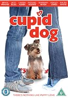 Cupid Dog