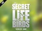 The Secret Life of Birds - Series 1