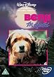Benji The Hunted