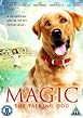 Magic the Talking Dog