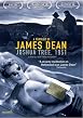 Joshua Tree, 1951: A Portrait of James Dean