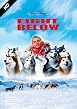Eight Below
