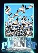 The Third Planet - Migratory Birds in Villafafila