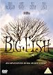 Big Fish