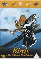 Birds - The Ultimate Visual Guide