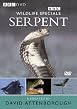 Wildlife Special - Serpent