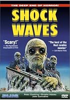 Shock Waves