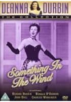 Something In The Wind