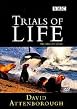 The Trials Of Life
