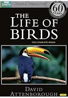 David Attenborough's Life Of Birds