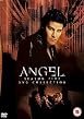 Angel - Season Five