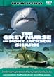 Shark Attack - The Grey Nurse And Port Jackson Shark