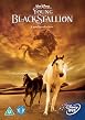 The Young Black Stallion