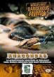 World's Most Dangerous Animals - Anaconda