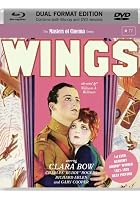 Wings