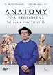 Anatomy For Beginners