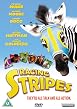 Racing Stripes