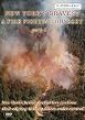 New York's Bravest - A Firefighting Odyssey - Part 2