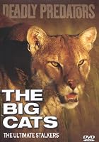 Deadly Predators - The Big Cats