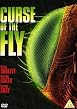 Curse Of The Fly