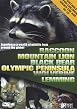 Wildlife - Raccoon / Mountain Lion / Black Bear