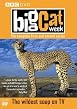 Big Cat Week - Series 1 And 2