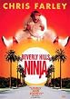 Beverly Hills Ninja