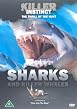 Killer Instinct - Sharks And Killer Whales