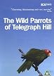 The Wild Parrots Of Telegraph Hill