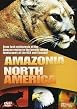 Wildlife - Amazonia / North America