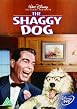 The Shaggy Dog