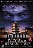 Ninja In The Dragon's Den
