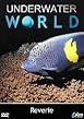Underwater World - Reverie
