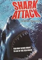 Shark Attack