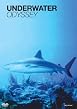 Underwater Odyssey