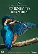 Profiles Of Nature - Journey To Brazoria