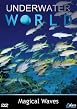 Underwater World - Magical Waves