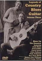 Legends Of Country Blues Guitar - Vol. 3
