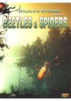 The Whole Story: Beetles And Spiders