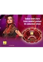 Stardust Awards 2006