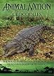 Our World Their World - Crocodiles - The Whole Story