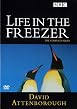 Life In The Freezer