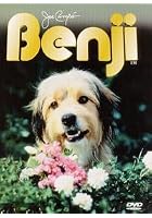 Benji - The Movie