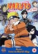Naruto - The Lost Story