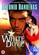 The White Dove