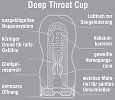 Querschnitt